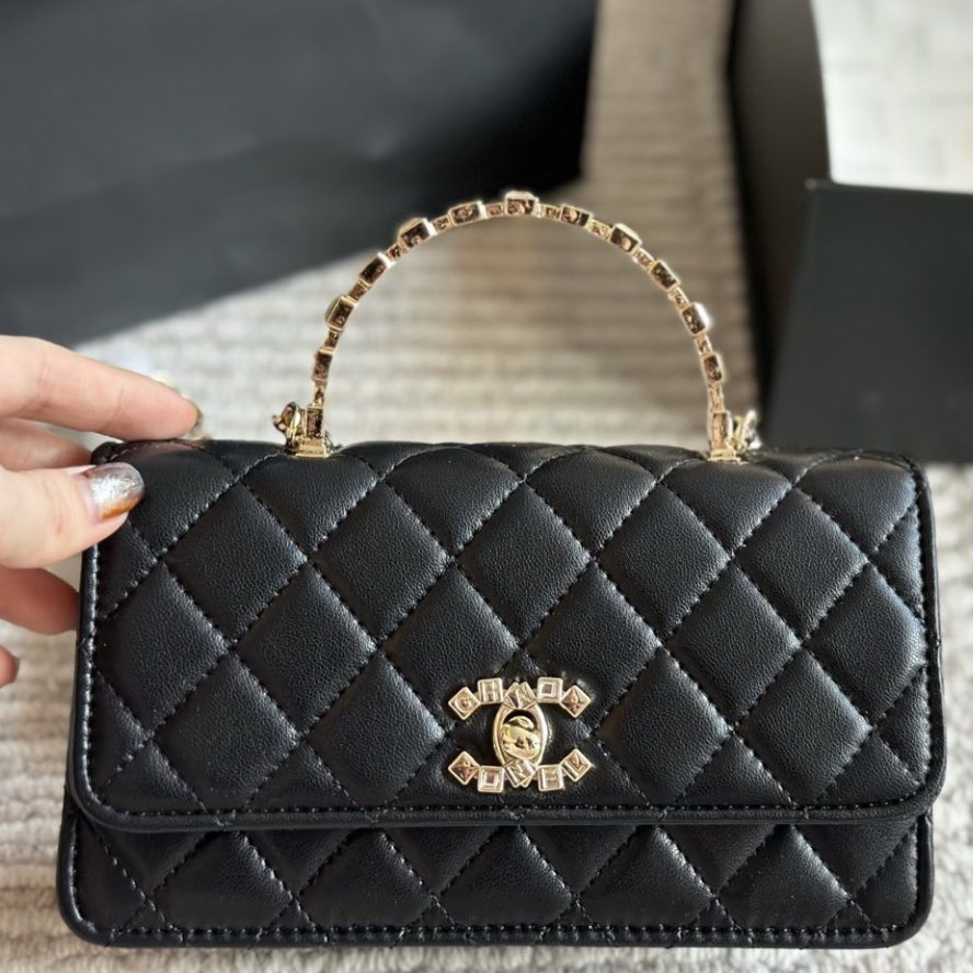 CC 24p woc Handbag