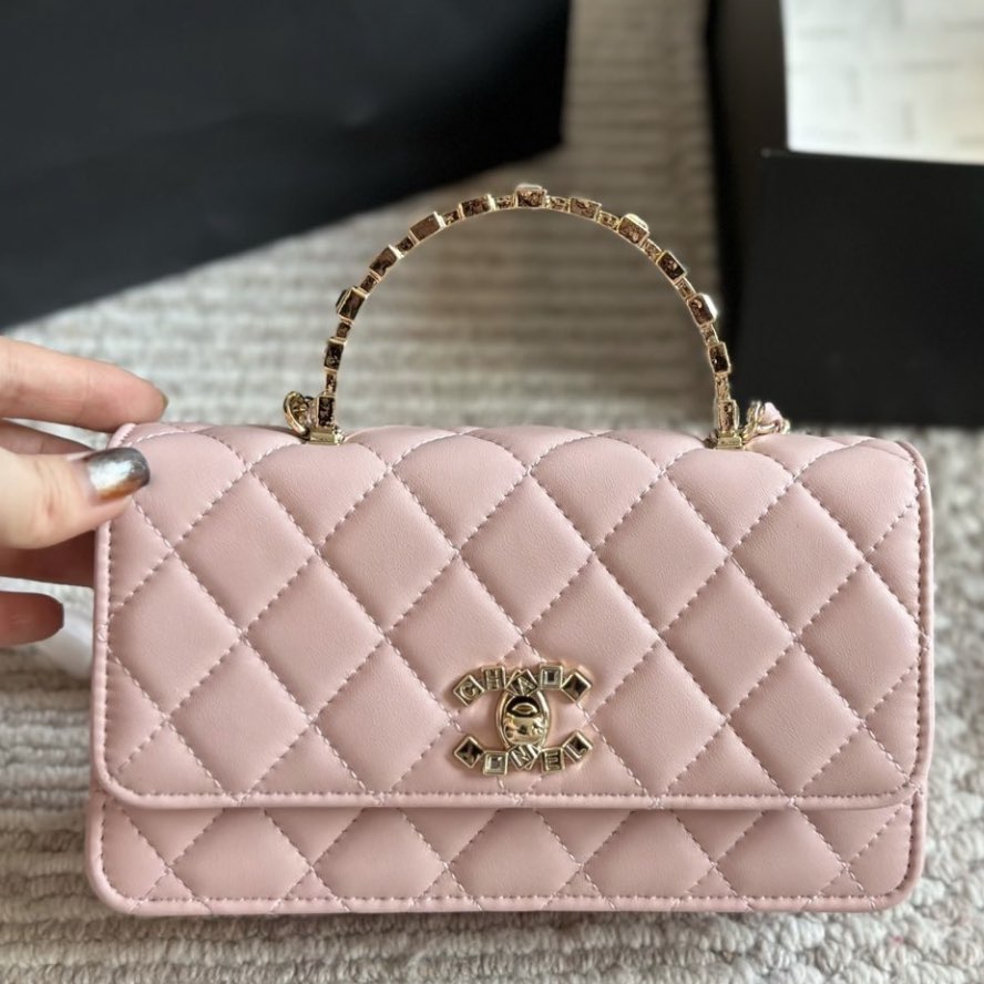 CC 24p woc Handbag