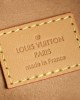 Louis Loop handbag M81098